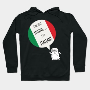 I'm not yelling...I'm Italian! Hoodie